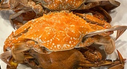 obrázek - ร้านอาหารนุช-เหลืองซีฟู้ด