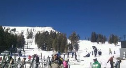 obrázek - Gold Coast Lodge