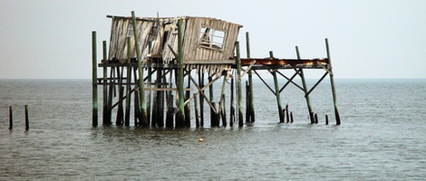 obrázek - Cedar Key