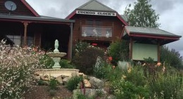 obrázek - The Cuckoo Clock Shop