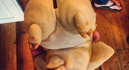 obrázek - The Toy Factory