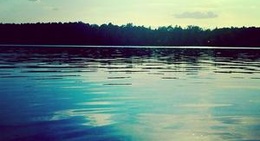 obrázek - Straussee