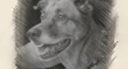 obrázek - Port de frontignan