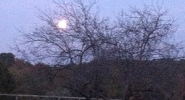 obrázek - Houghnhnm Stables