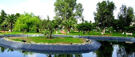 obrázek - Ben Slimane