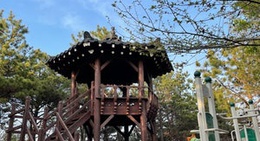 obrázek - 구몽산전망대