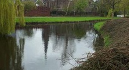 obrázek - Raoul Wallenbergplein